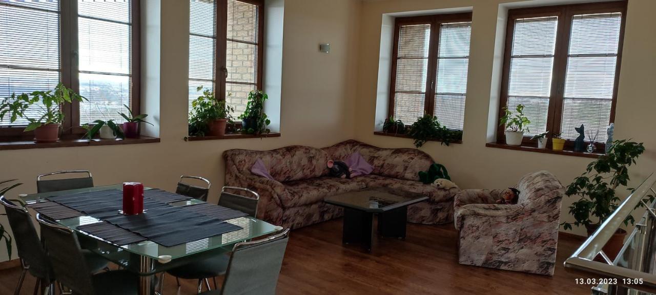 Villa Homestay Nad Helmrovkou براغ المظهر الخارجي الصورة