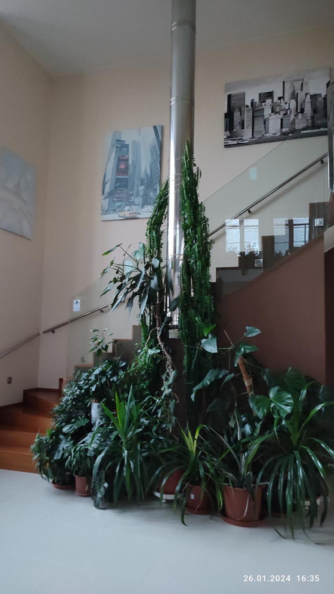 Villa Homestay Nad Helmrovkou براغ المظهر الخارجي الصورة