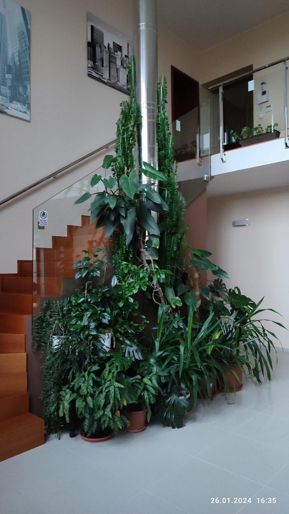 Villa Homestay Nad Helmrovkou براغ المظهر الخارجي الصورة